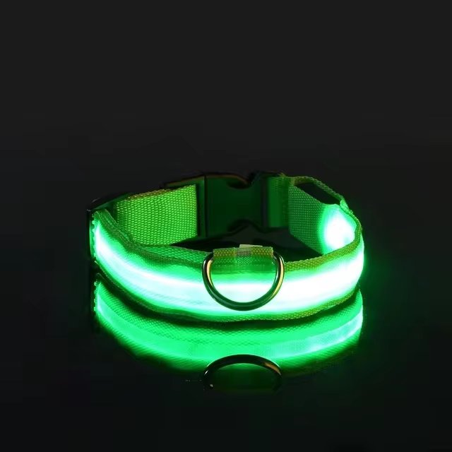 Collier LED pour chien™ - Chiensavant