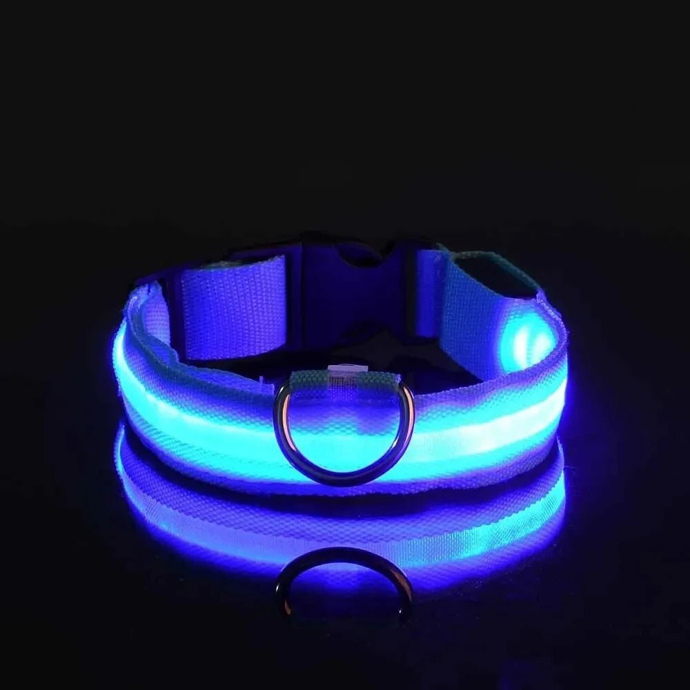 LEDCollar™ - Collier à LED pour chien - Chiensavant