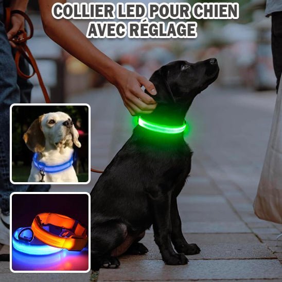 LEDCollar™ - Collier à LED pour chien - Chiensavant