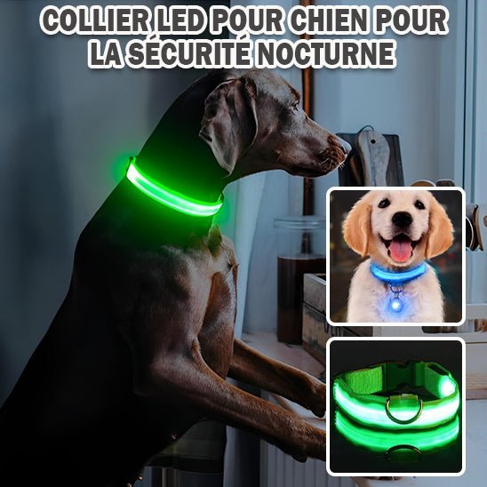 LEDCollar™ - Collier à LED pour chien - Chiensavant