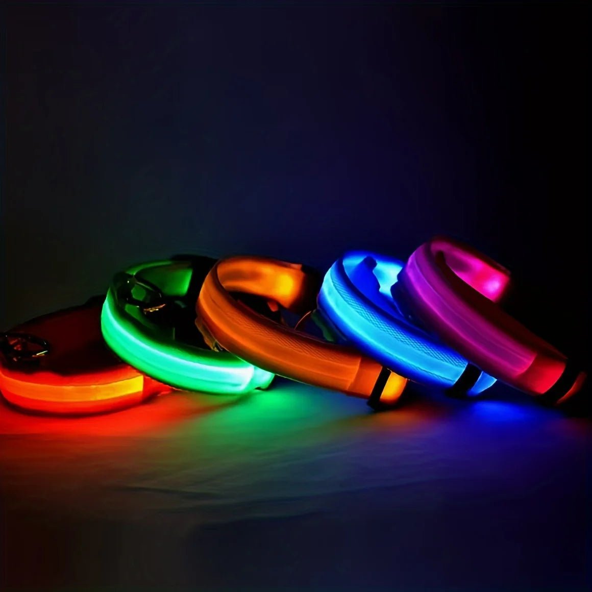 LEDCollar™ - Collier à LED pour chien - Chiensavant
