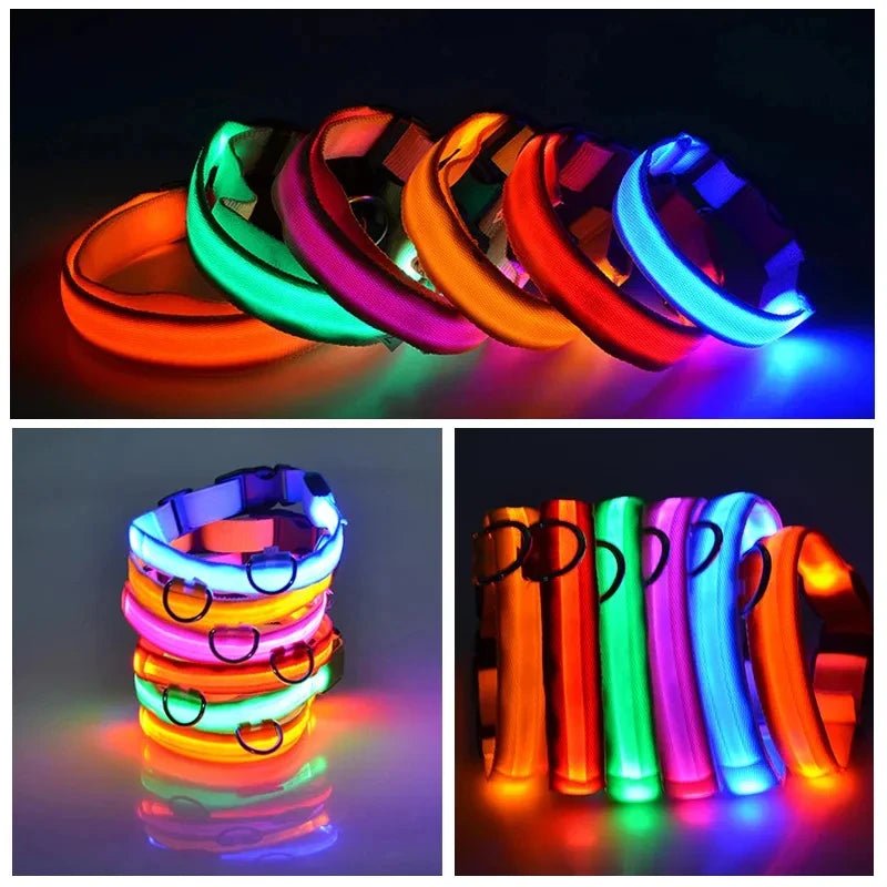 LEDCollar™ - Collier à LED pour chien - Chiensavant