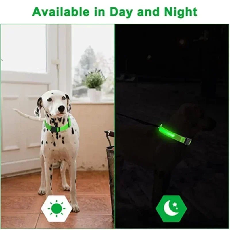 LEDCollar™ - Collier à LED pour chien - Chiensavant