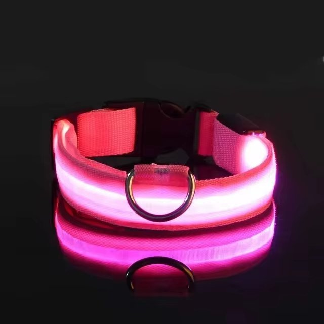LEDCollar™ - Collier à LED pour chien - Chiensavant