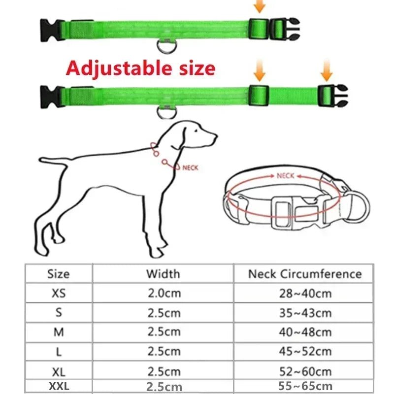 LEDCollar™ - Collier à LED pour chien - Chiensavant