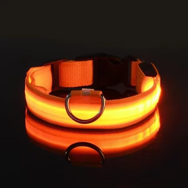 LEDCollar™ - Collier à LED pour chien - Chiensavant