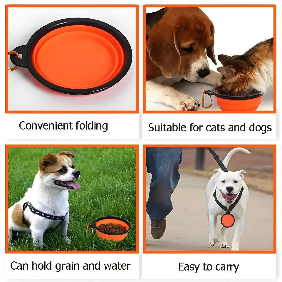 Bol de voyage pliable en silicone pour chien - Chiensavant