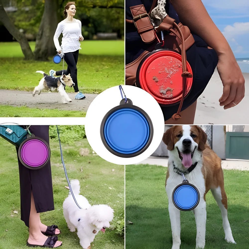 Bol de voyage pliable en silicone pour chien - Chiensavant