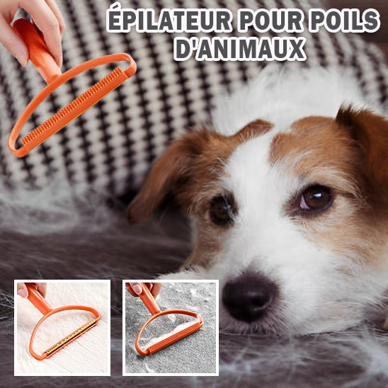 Brosse anti poil - Chiensavant