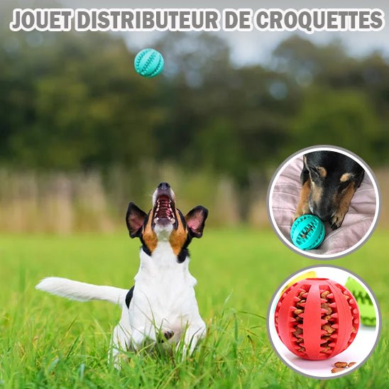 Chew ball™ - Balle à mâcher pour chien - Chiensavant