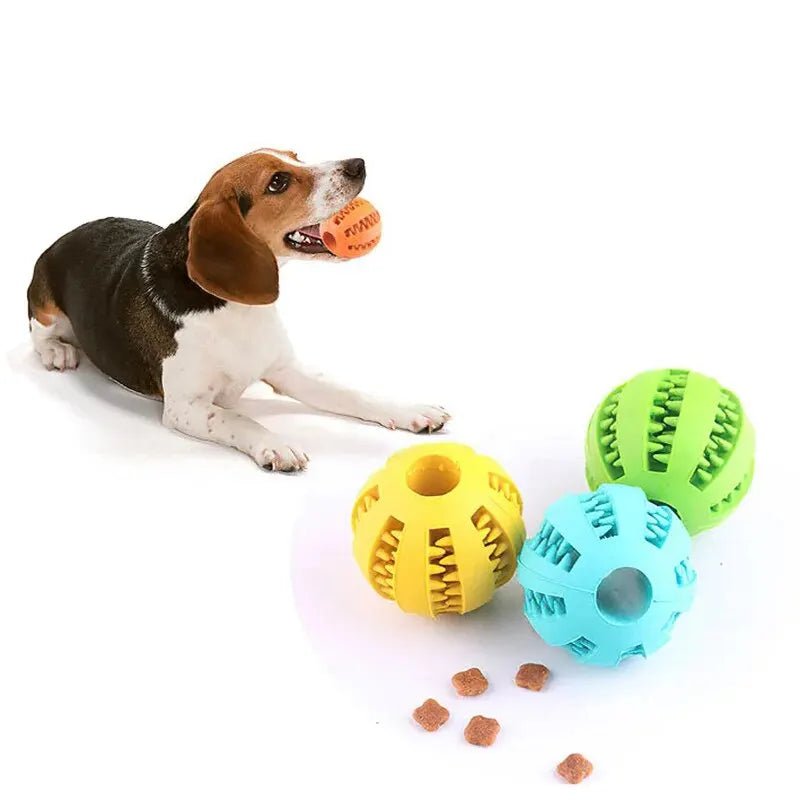 Chew ball™ - Balle à mâcher pour chien - Chiensavant