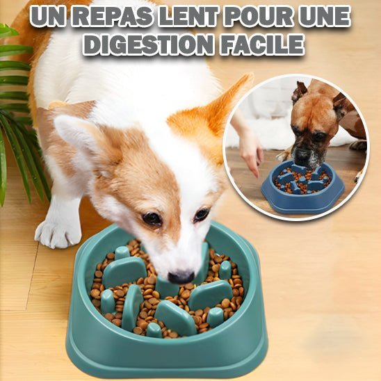 Gamelle nourriture lente pour chien - Chiensavant