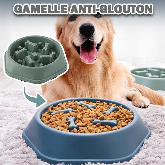 Gamelle nourriture lente pour chien - Chiensavant