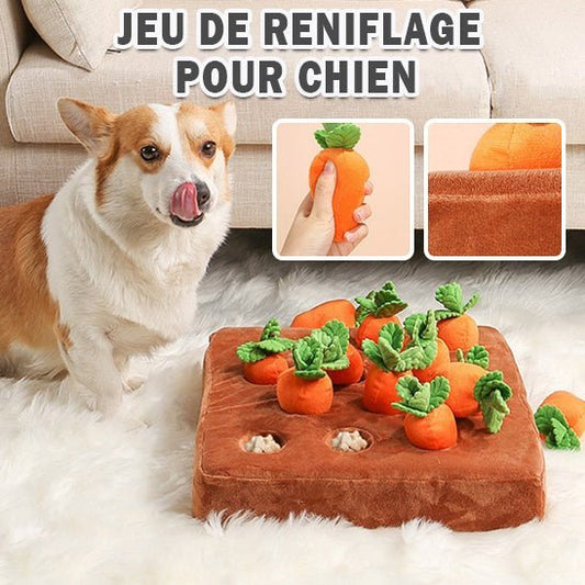 Jouet et Puzzle pour votre chien - Chiensavant